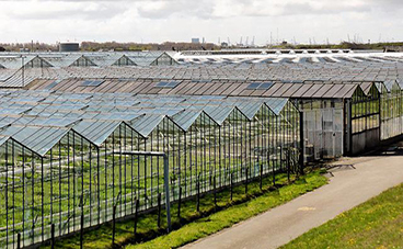 Greenhouse-electrical-design